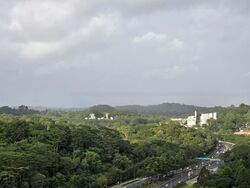 Bukit Timah Plaza / Sherwood Towers (D21), Apartment #469773981